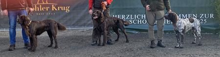 15 drei schoensten rueden