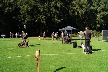 29 rundgang