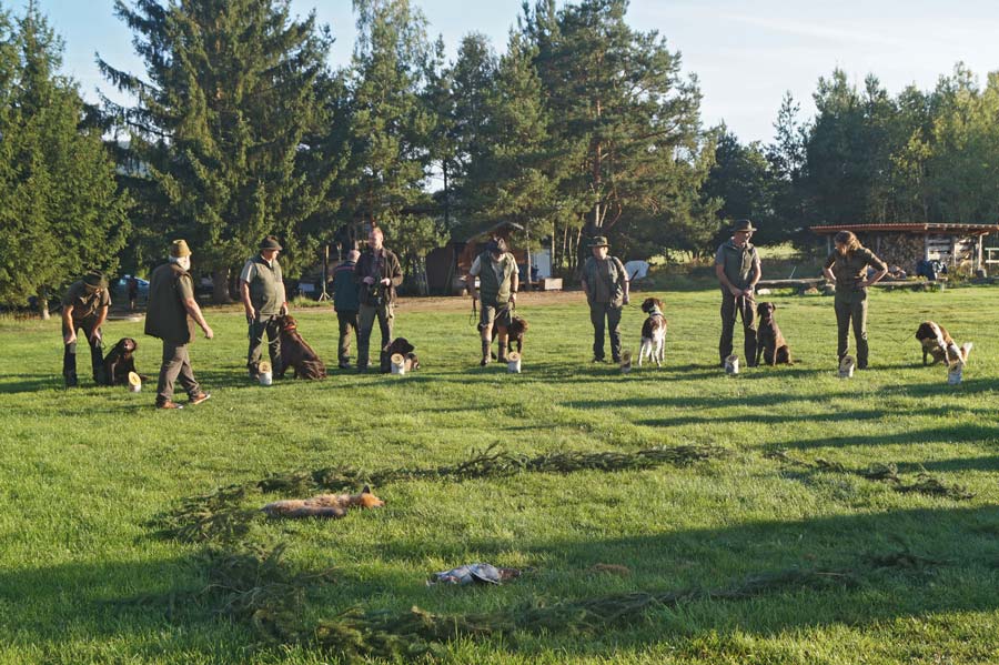 69 Aufstellung Am Sonntag Morgen