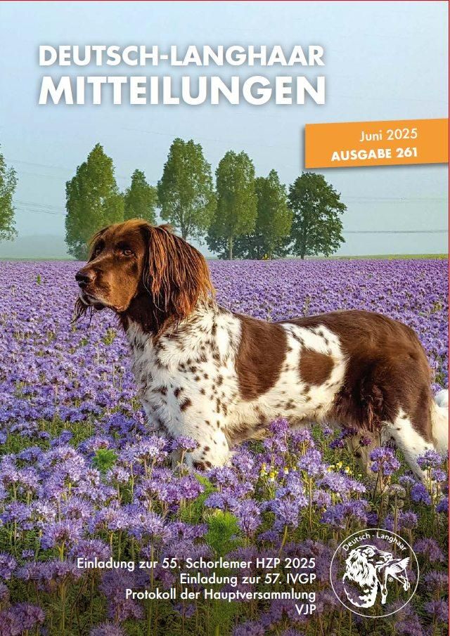 DL Heft 261